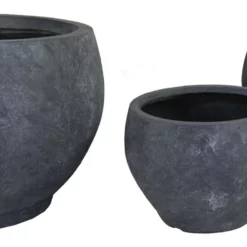 Arizona Monika Graphite