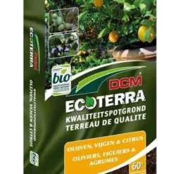 Mediterrane Aanplantgrond | Olijven, Vijgen En Citrus