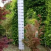 Acer Palmatum ‘Jerre Schwartz’ -Huisdecoratie Winkel ac pal jerre swartz 14 ltr 69.00 e1560524443563 scaled 1
