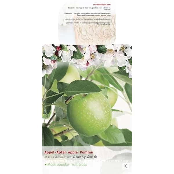 Malus Domestica ‘Granny Smith’ 2 Malus Domestica ‘Granny Smith’
