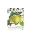 Malus Domestica ‘Golden Delicious’ 1 Malus Domestica ‘Golden Delicious’ -Huisdecoratie Winkel golden delicious 1