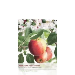 Malus Domestica ‘James Grieve’