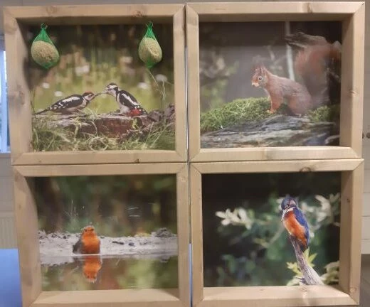 Buiten Schilderij – Voederhuis 4 Afbeeldingen 3 Buiten Schilderij – Voederhuis 4 Afbeeldingen